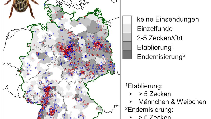 Verbreitungskarte der Babesiose in Deutschland