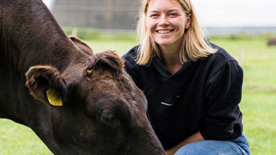 Lanwirtin hockt auf einer Wiese vor einem Rind.