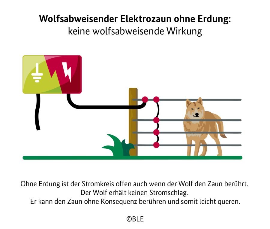 Schematische Darstellung eines wolfsabweisenden Elektrozauns ohne Erdung. Dargestellt ist ein Wolf, der den Zaun berührt und nicht abgeschreckt wirkt.