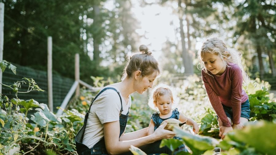 Mutter hockt mit ihren Kindern im Gemüsebeet.