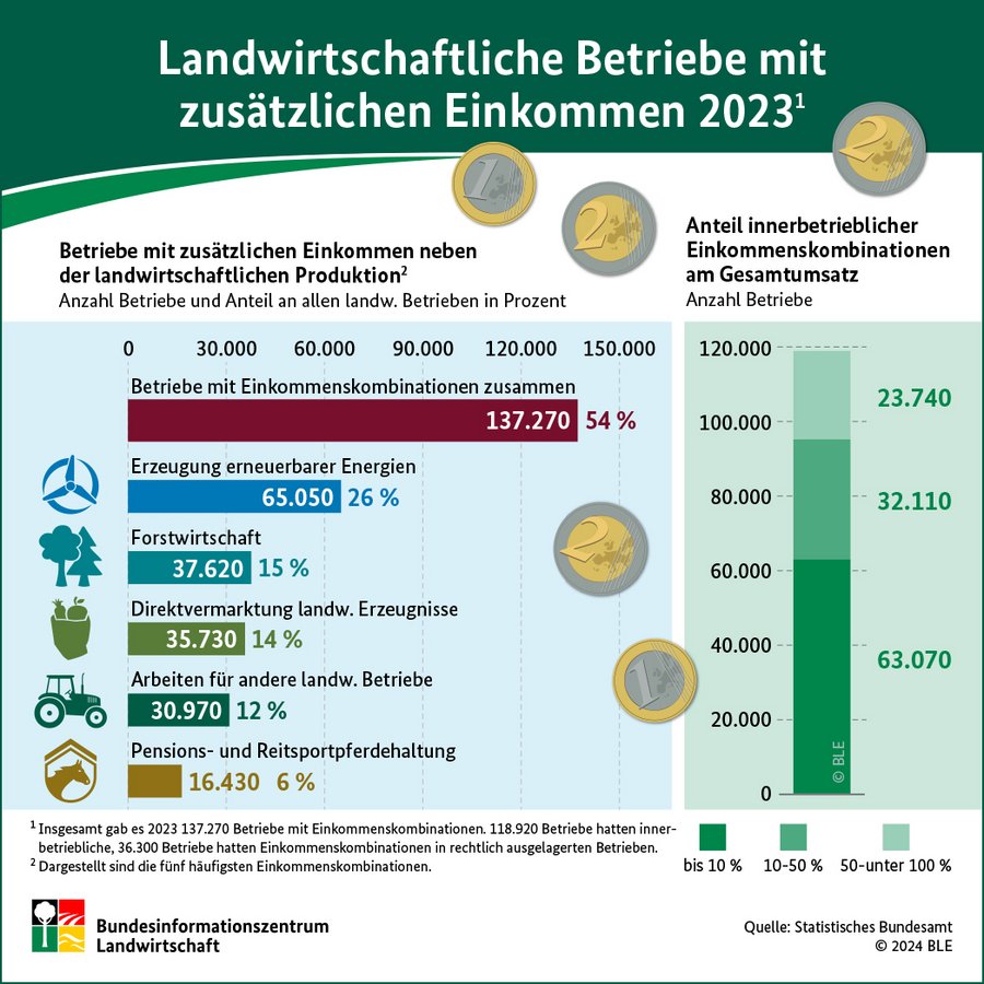 Infografik Diversifizierung