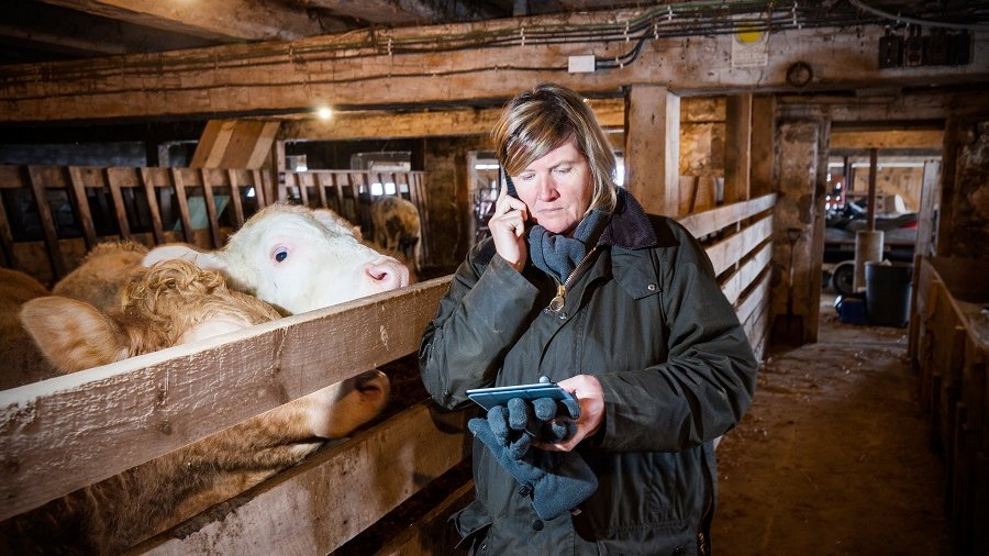 Einfach mal mit jemandem reden und die Gedanken sortieren – die telefonische Beratung ist auch aus dem Stall möglich, vertraulich und anonym.