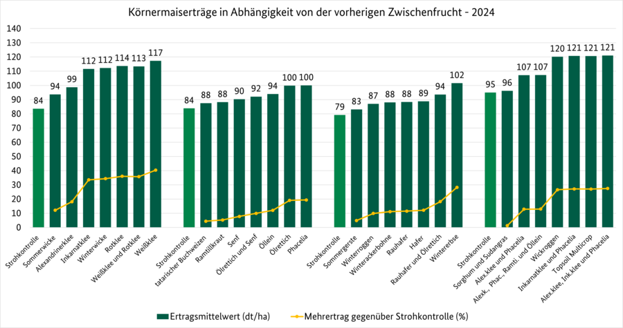 Diagramm über Körnermaiserträge nach unterschiedlichen Zwischenfrüchten.