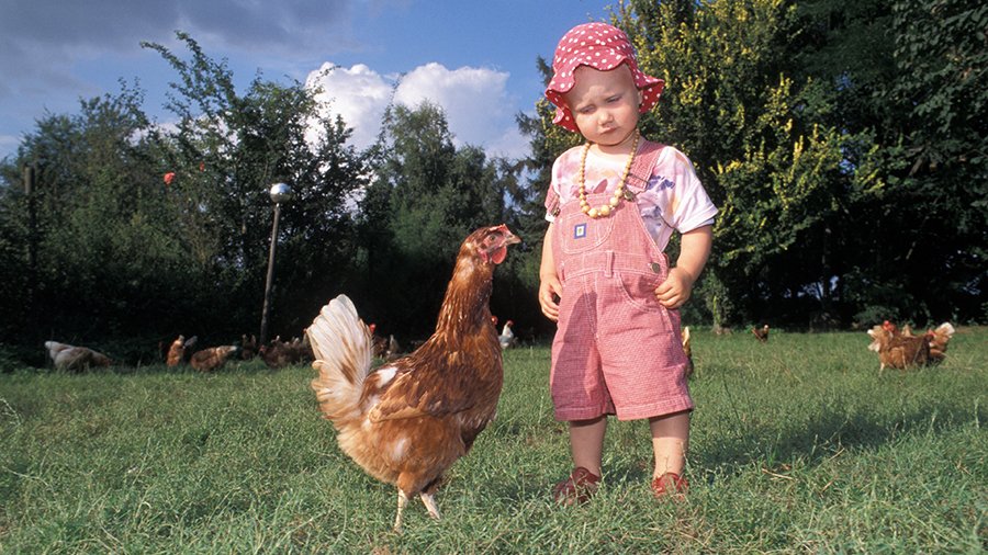 Kleinkind mit roter Latzhose und roter Mütze mit weißen Punkten steht auf Wiese und schaut kritisch auf ein braunes Huhn, das vor ihm steht.