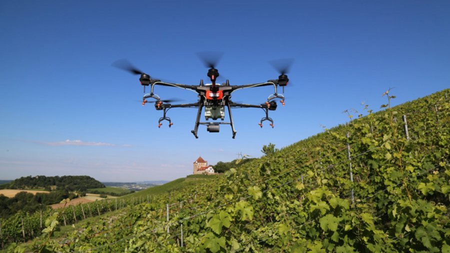 Sprühdohne fliegt über Weinberg - Klick öffnet Großansicht in neuem Fenster