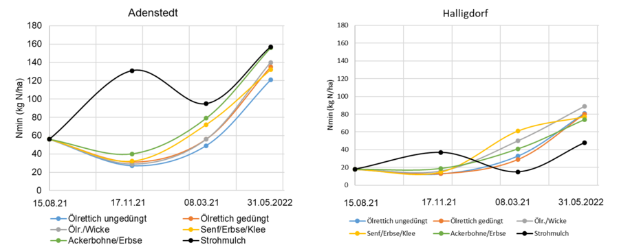 Stickstoff-Werte im Boden unter Strohmulchauflage 