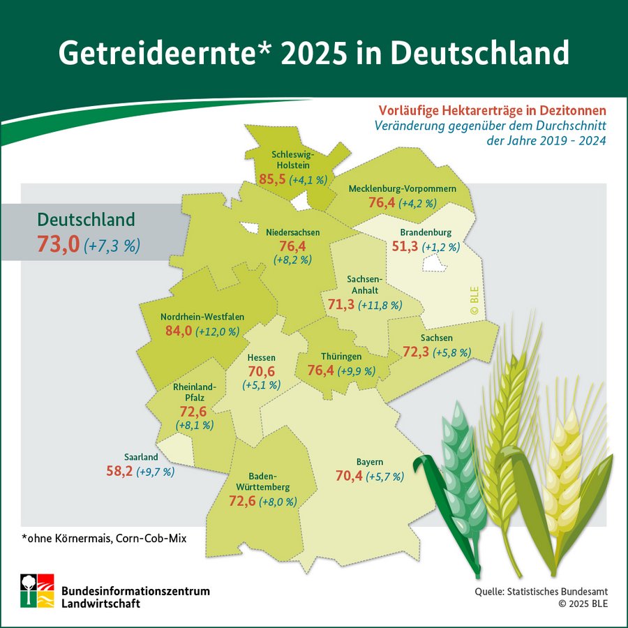 Infografik Getreideernte 2025