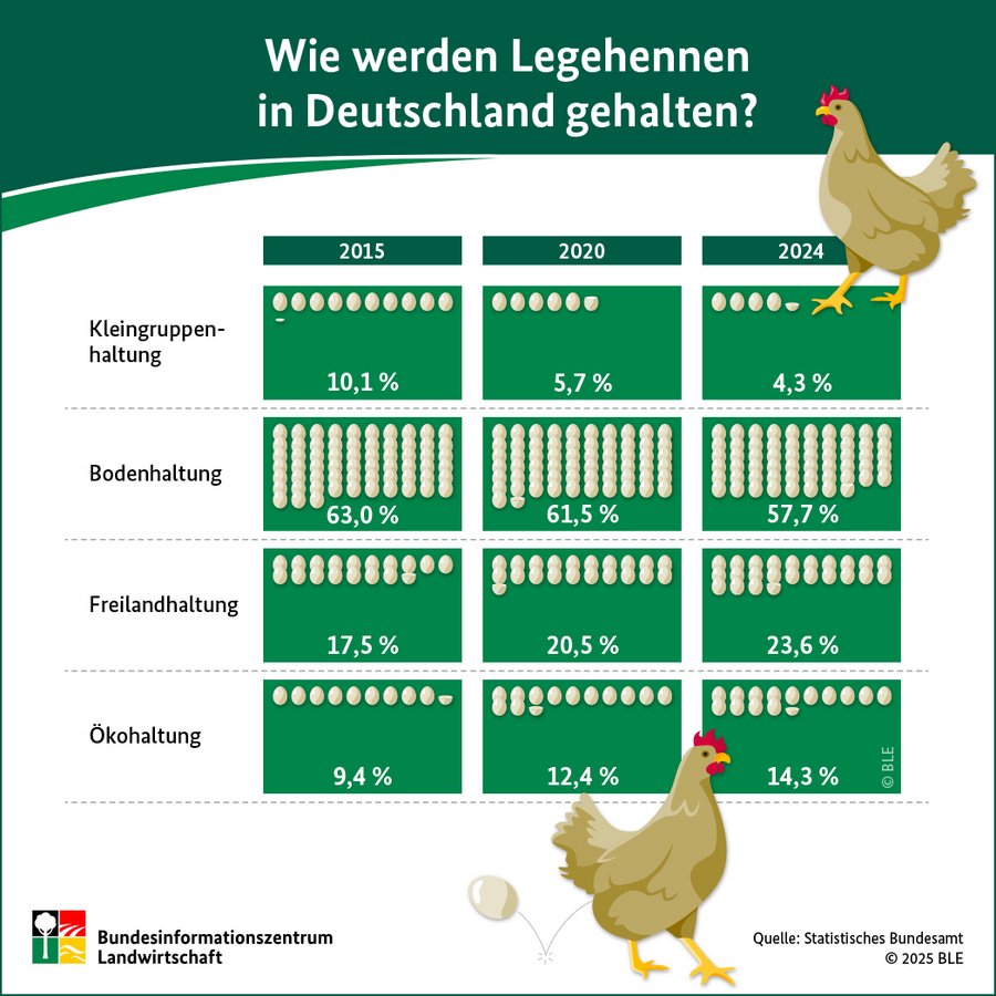 Infografik über die Legehennenhaltung in Deutschland.