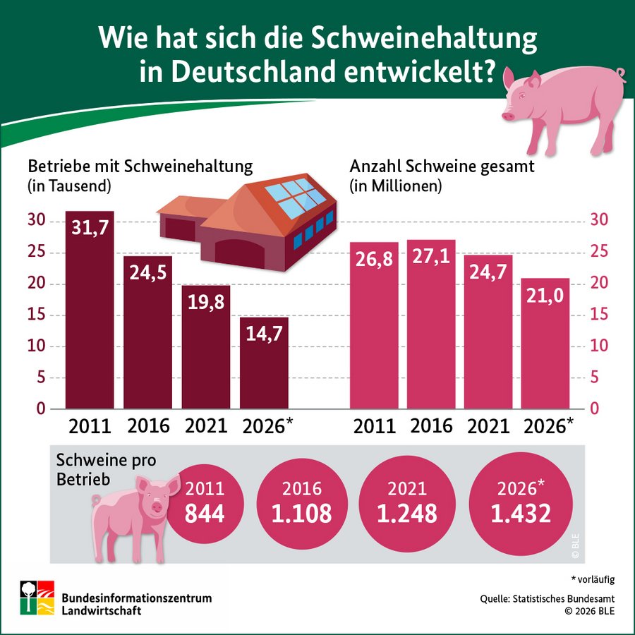 Infografik Schweinehaltung in Deutschland