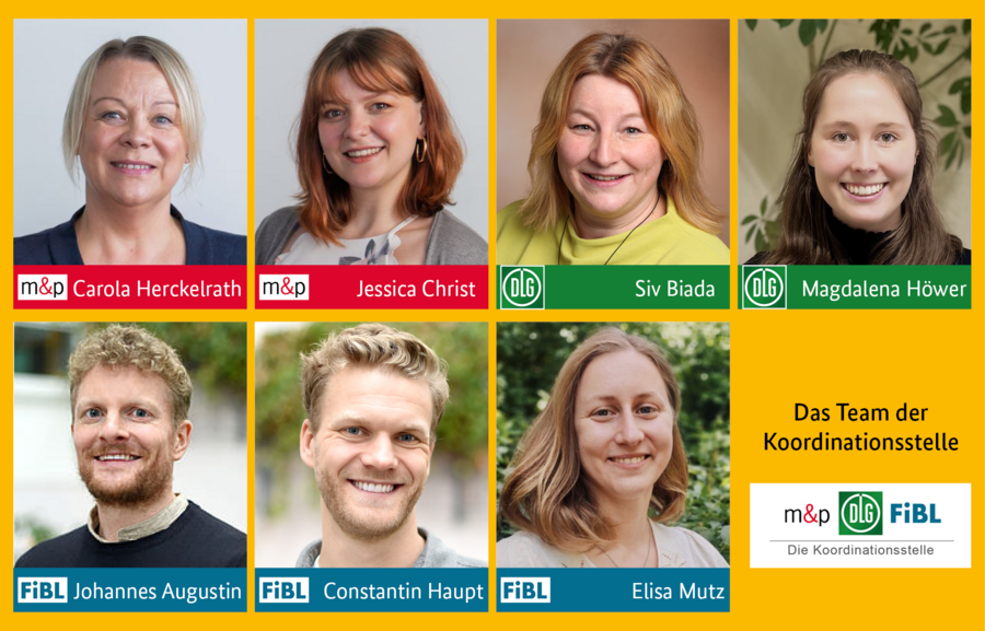 Portraits der einzelnen Mitglieder der Koordinationsstelle