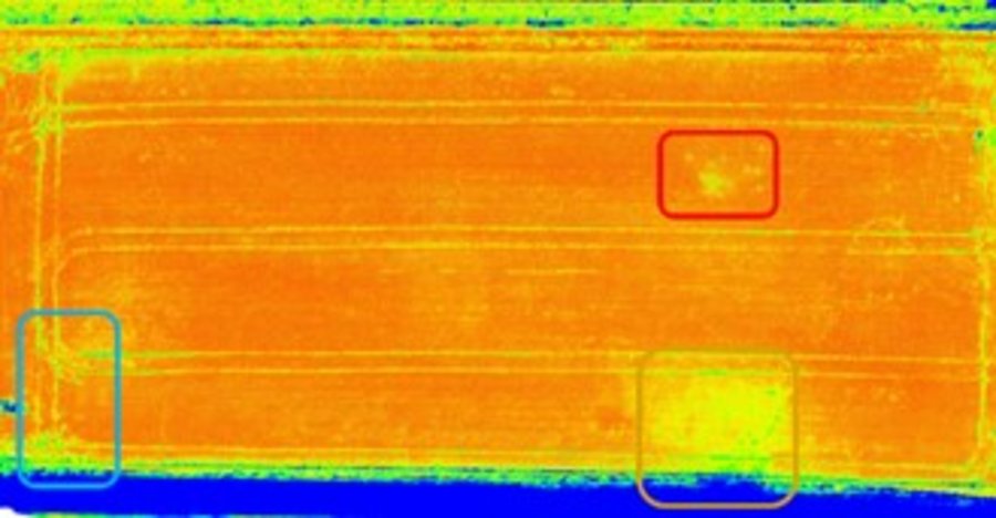 NDVI-Bild des Weizenfeldes mit hohem Kontrast.