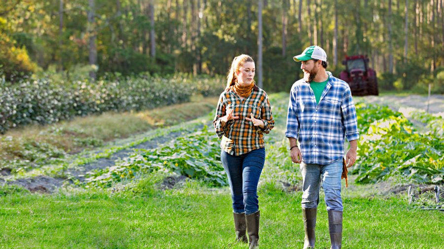 Ein Mann und eine Frau stehen vor einem Acker