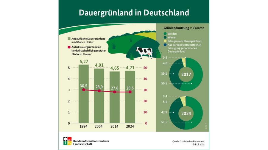 Infografik: Dauergrünland in Deutschland
