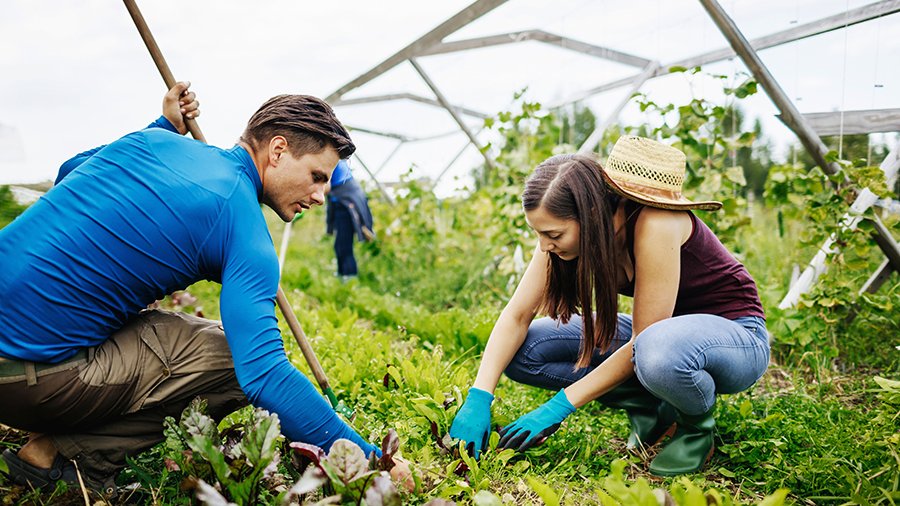 Junger Mann mit Hacke in der Hand und junge Frau mit Strohhut hinter dem Kopf arbeiten in der Hocke in einem Gewächshaus.