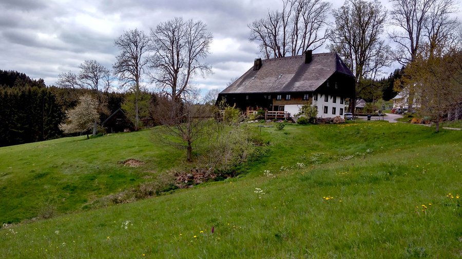 Bauernhof mit Grünland im steilen Gelände