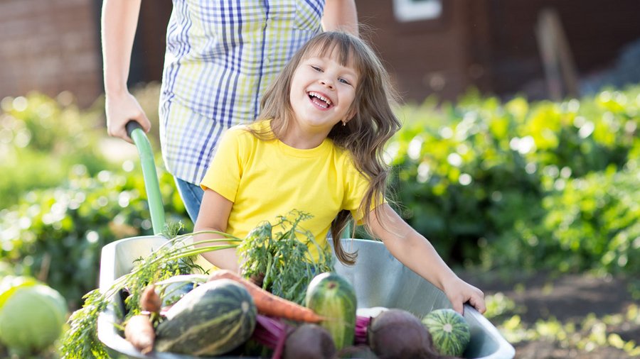 Mädchen mit Gemüse in Schubkarre
