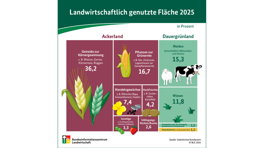 Infografik landwirtschaftliche Flächennutzung