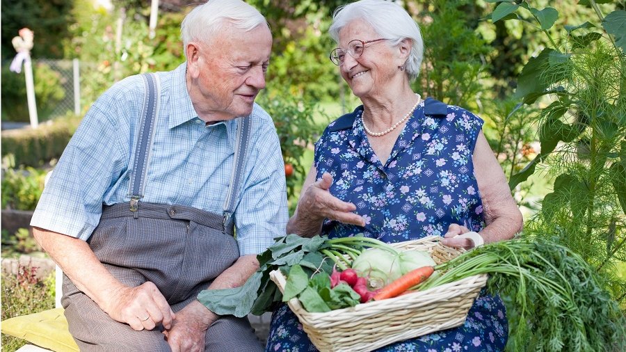 Sitzendes altes Paar im Garten mit geerntetem Gemüse auf dem Schoß.
