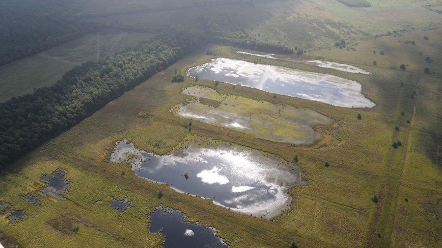 Blick auf eine Moorlandschaft