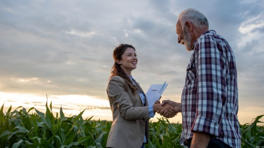 Älterer Landwirt mit kariertem Hemd steht am Rand eines Maisfeldes und schüttelt die Hand einer jungen lachenden Frau in der Rolle einer Beraterin, die einen großen Briefumschlag in der anderen Hand hält.