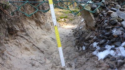 Grabestelle eines Wolfs unter einem Zaun hindurch in Nahaufnahme, ein Zollstock markiert, dass das gegrabene Loch circa 30 Zentimeter tief ist