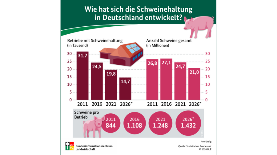Infografik Schweinehaltung in Deutschland