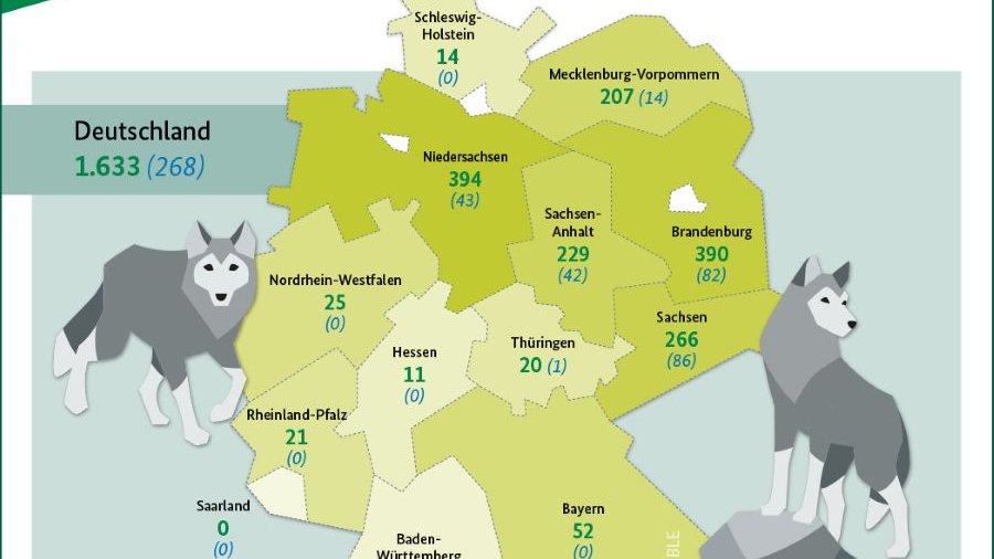 Wolfszahlen aus dem Wolfsmonitoring für 2024