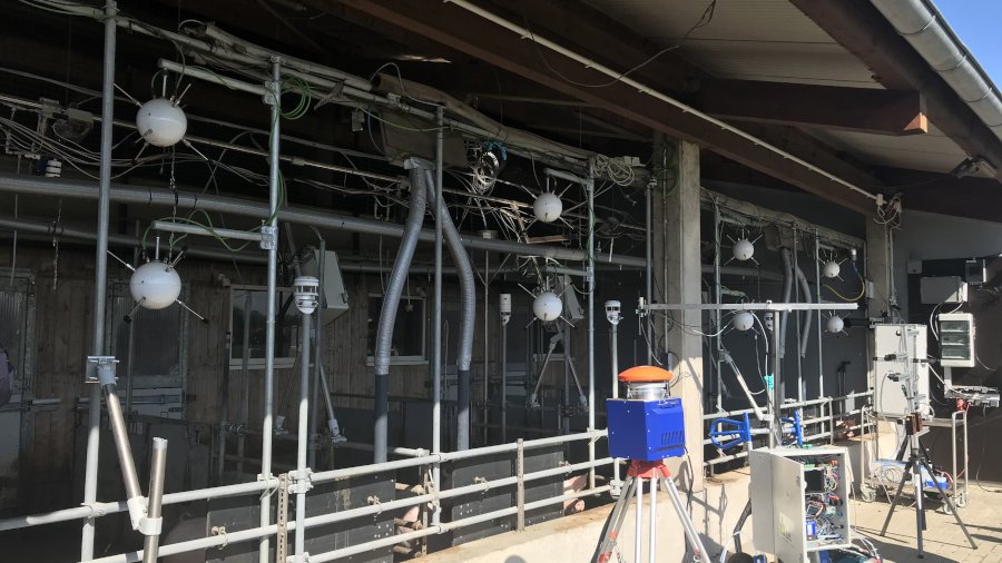 Boxen eines offenen Schweinestalls, darüber hängen Sonden, um die Emissionen zu messen