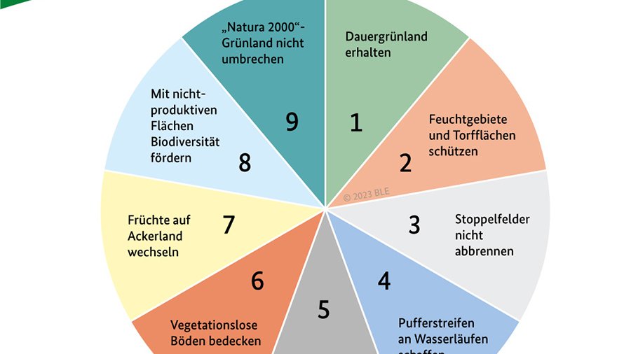 Infografik GLÖZ Standards