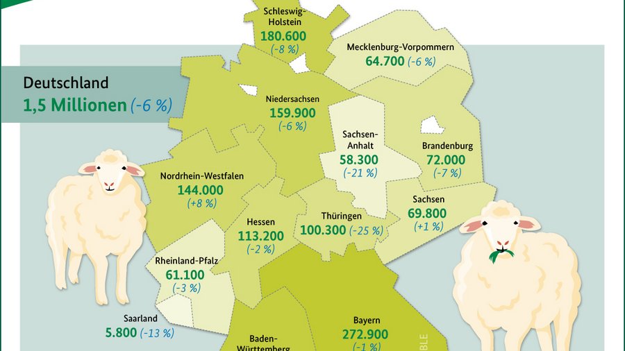 Infografik Schafbestand 2024