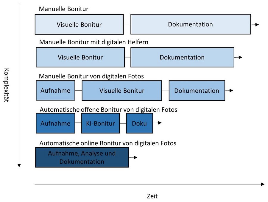 Darstellung unterschiedlicher Level der digitalen Bonitur