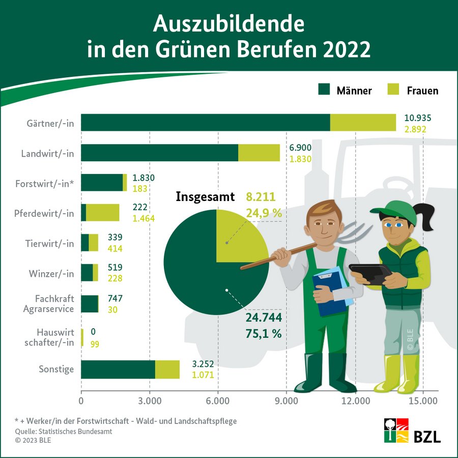 Infografik Auszubildende in den Grünen Berufen