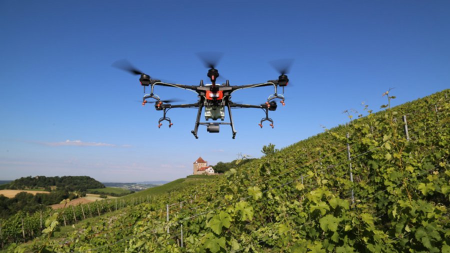 Sprühdohne fliegt über Weinberg - Klick öffnet Großansicht in neuem Fenster