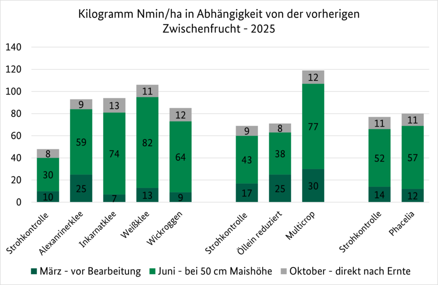 Diagramm über Nmin-Werte im Versuchsjahr 2025 von unterschiedlichen Zwischenfrüchten in der Vorfrucht.