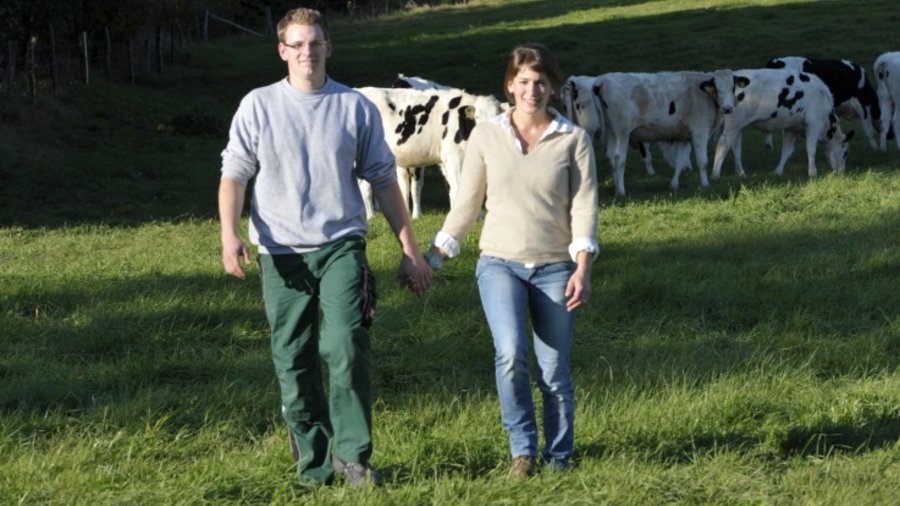 Junges Paar geht Hand in Hand über Weide mit schwarzbunten Rindern