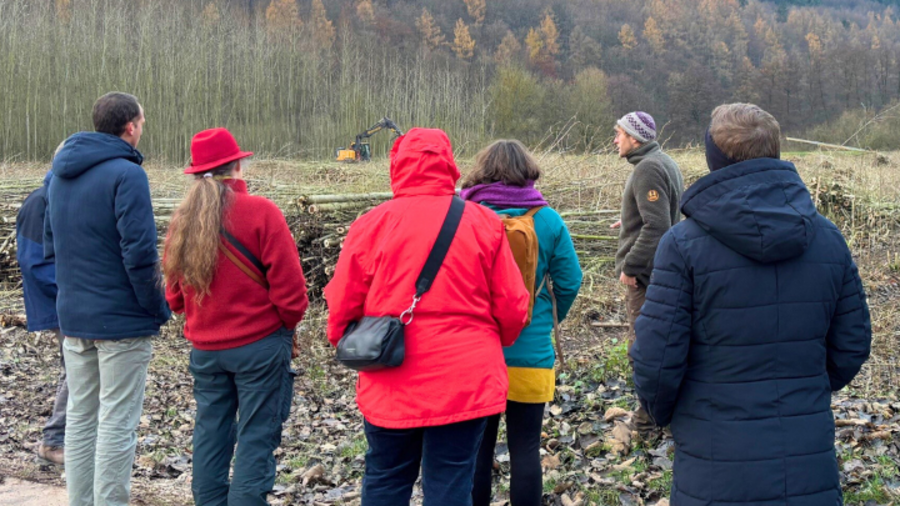 Personen stehen vor einer Fläche mit gefällten Bäumen.