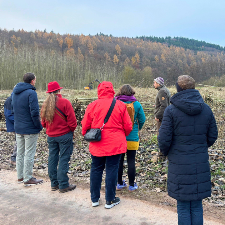 Personen stehen vor einer Fläche mit gefällten Bäumen.