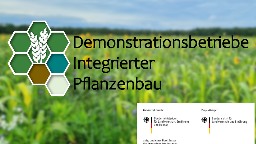 Logo der Demonstrationsbetriebe Integrierter Pflanzenbau.