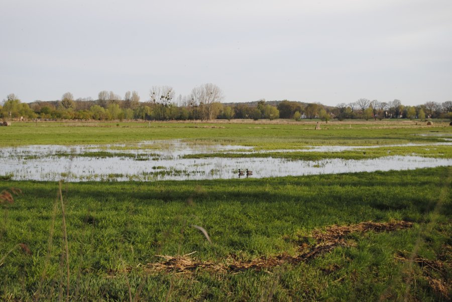 Auf einer Fläche steht Wasser