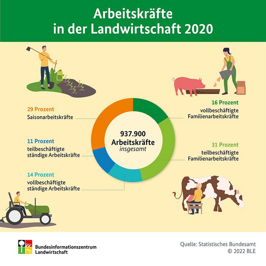 Infografik Arbeitskraefte