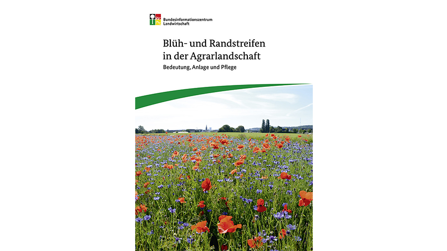 Cover der Broschüre Blüh- und Randstreifen