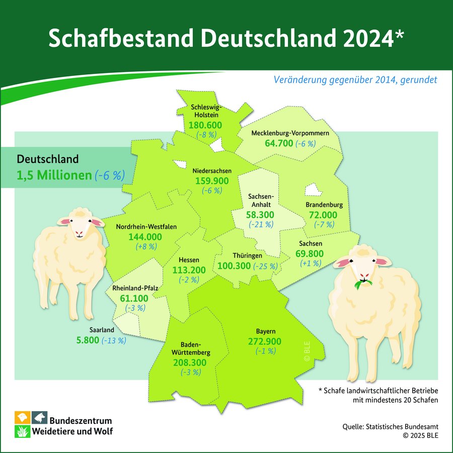 Infografik Schafbestand 2024