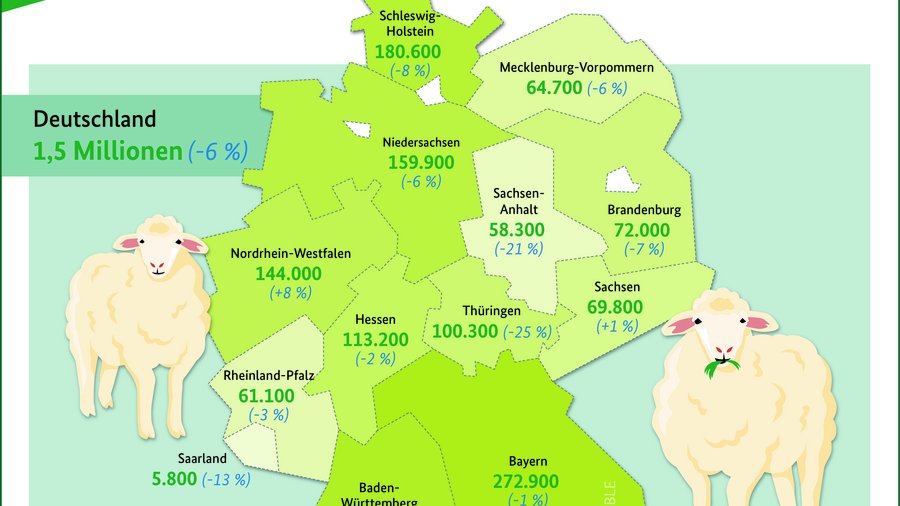 Infografik Schafbestand 2024