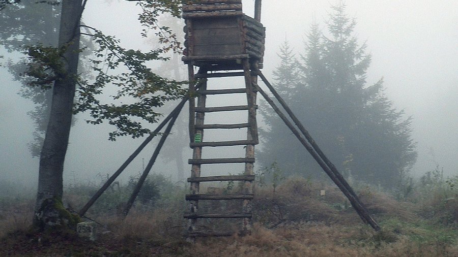 Hochsitz im Wald
