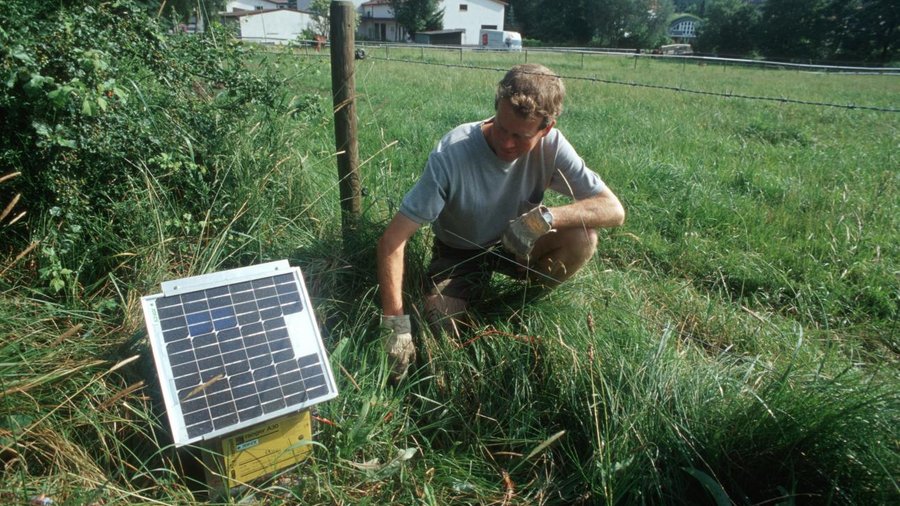 Mann mißt im Feld Energie