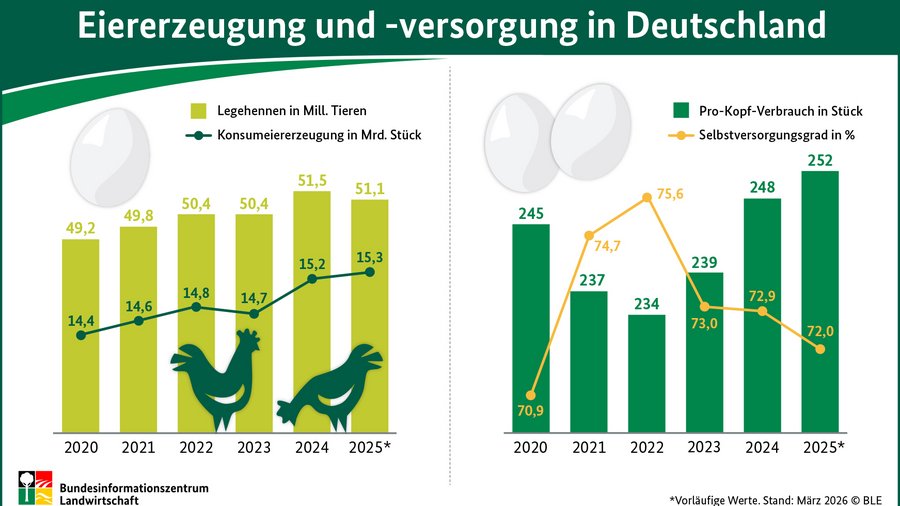 Versorgungsbilanz Eier