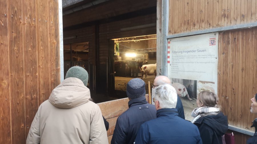 Personen stehen vor einem offenen Tor und schauen in den Stall.