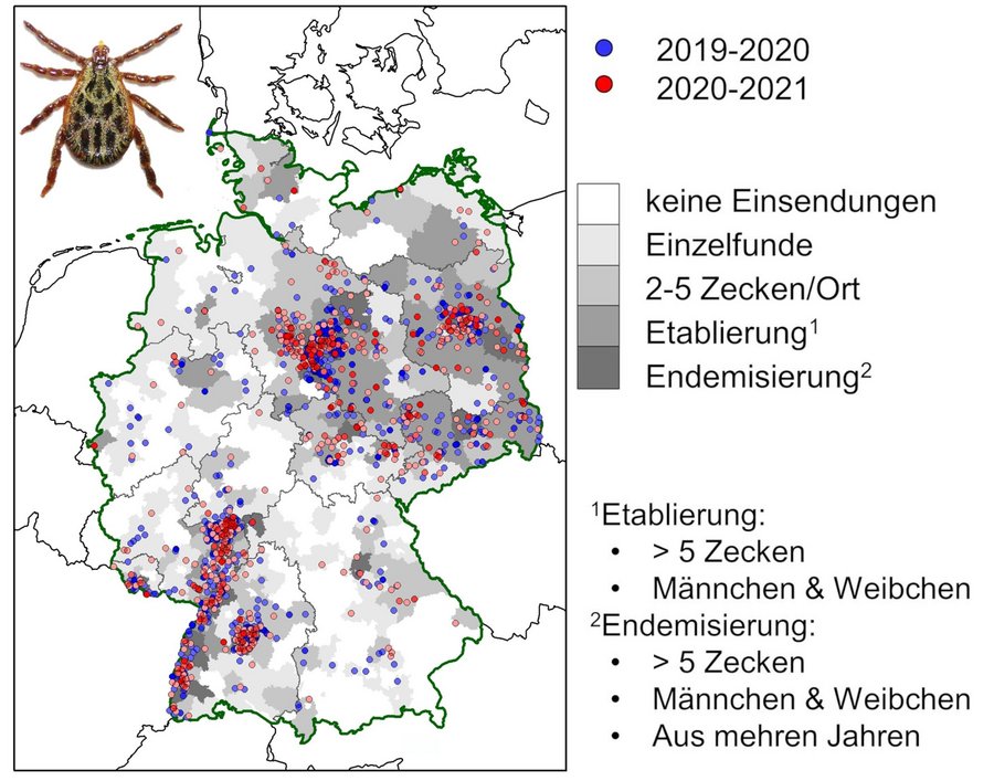 Verbreitungskarte Babesiose mit Legende