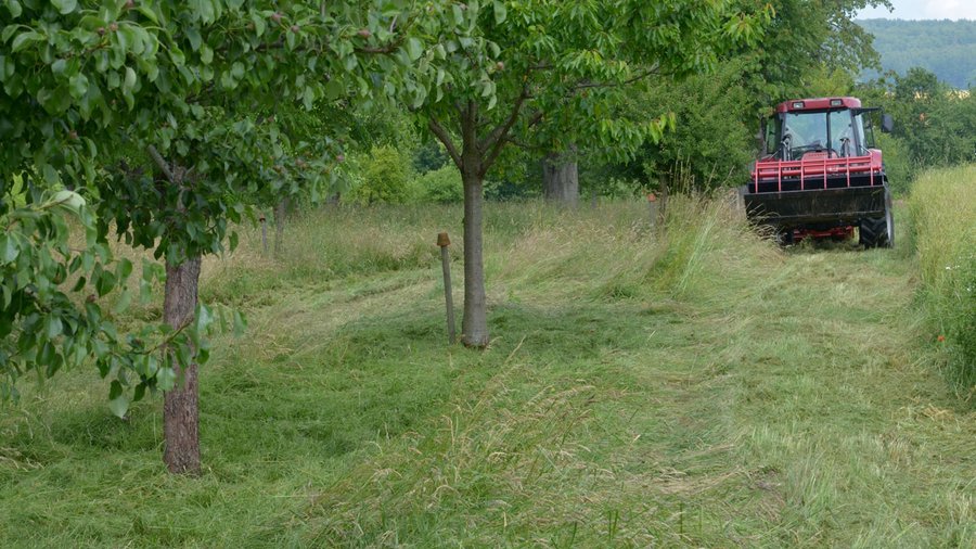 Roter Trecker mit Frontlader bei der Grünlandpflege