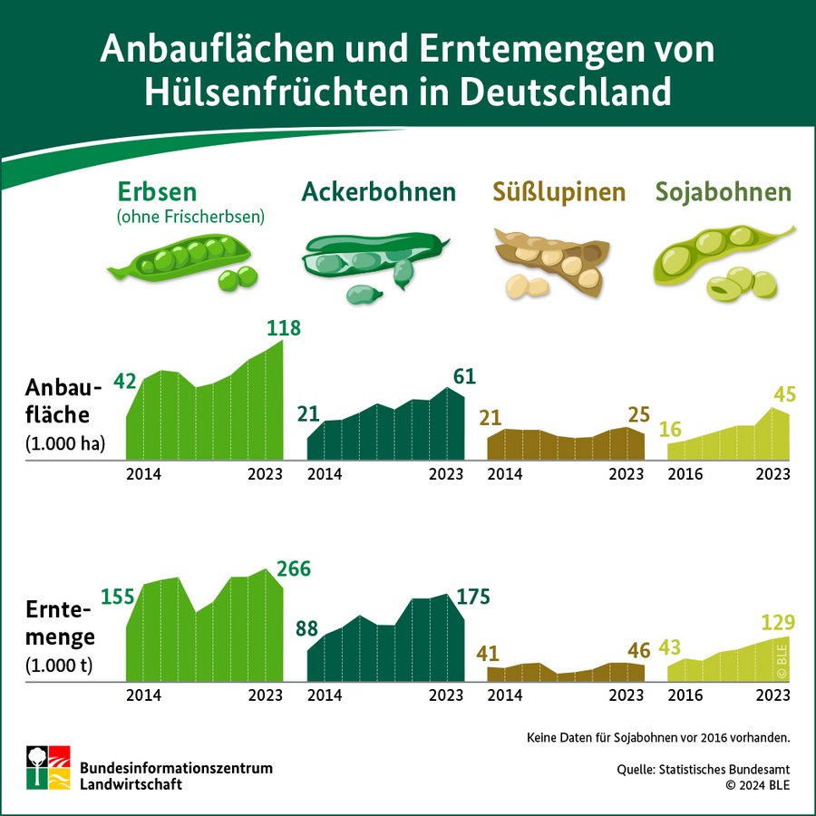 Infografik Hülsenfrüchte